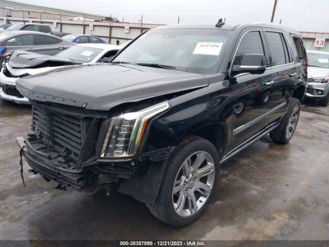 Photo 1 VIN: 1ZYS3AKJ6KR212799 - CADILLAC ESCALADE 