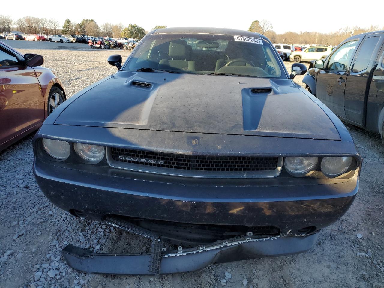 Photo 4 VIN: 2B3CJ4DG4BH556238 - DODGE CHALLENGER 