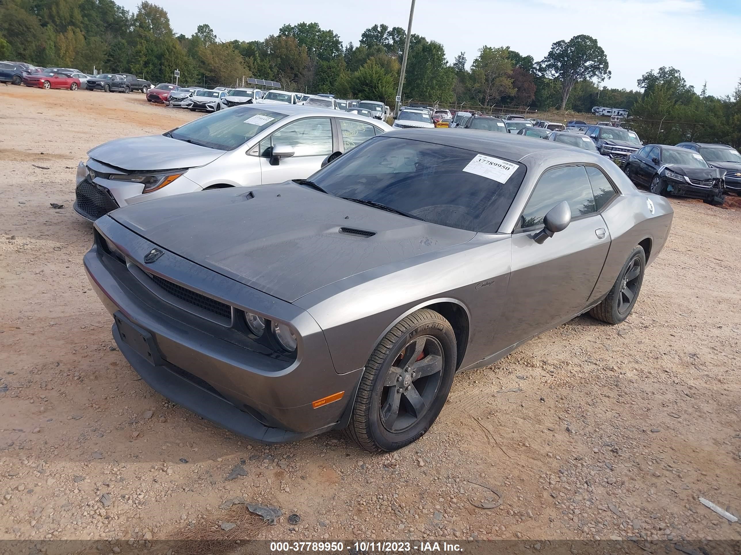 Photo 1 VIN: 2B3CJ4DGXBH596226 - DODGE CHALLENGER 