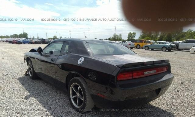 Photo 2 VIN: 2B3CJ4DV2AH240768 - DODGE CHALLENGER 