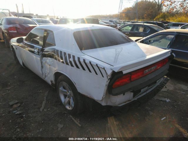 Photo 2 VIN: 2B3CJ4DV4AH255238 - DODGE CHALLENGER 