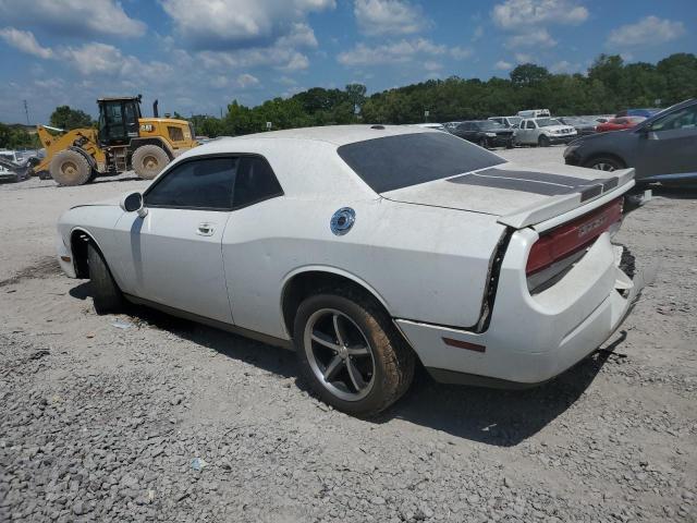 Photo 1 VIN: 2B3CJ4DV9AH314008 - DODGE CHALLENGER 