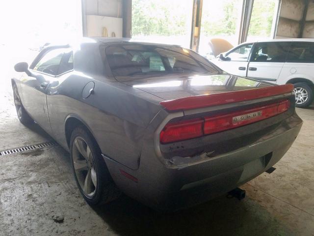 Photo 2 VIN: 2B3CJ4DV9AH318558 - DODGE CHALLENGER 