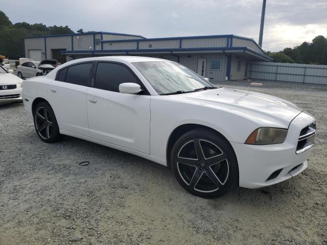 Photo 3 VIN: 2B3CL3CG3BH503441 - DODGE CHARGER 