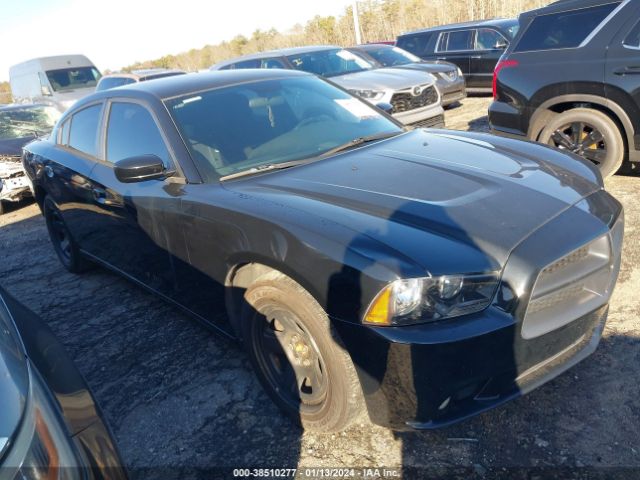 Photo 0 VIN: 2C3CDXAG1DH706941 - DODGE CHARGER 