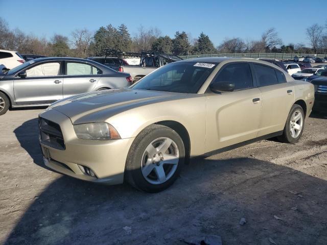 Photo 0 VIN: 2C3CDXAG2DH625818 - DODGE CHARGER 