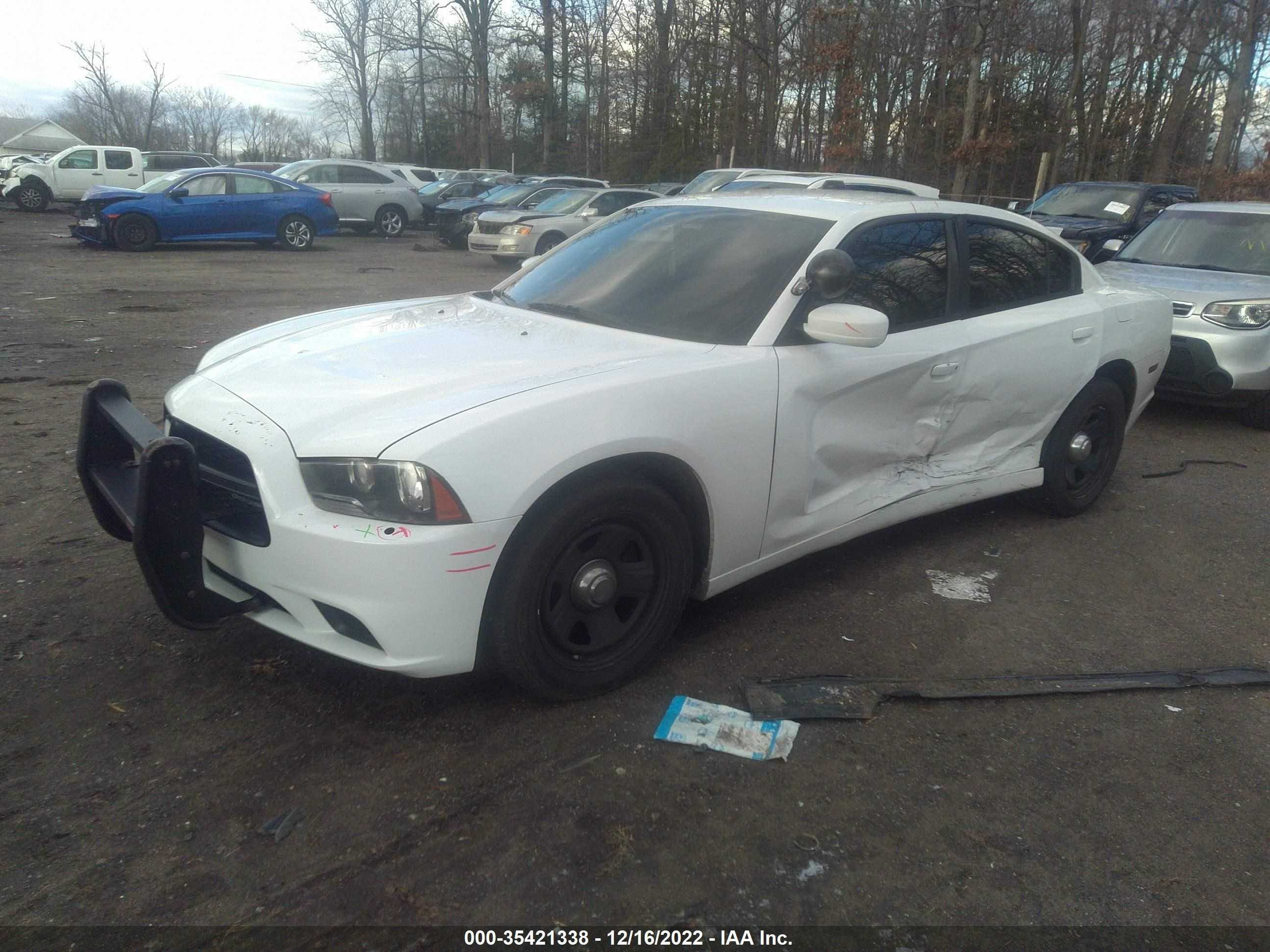 Photo 1 VIN: 2C3CDXAG5DH734659 - DODGE CHARGER 