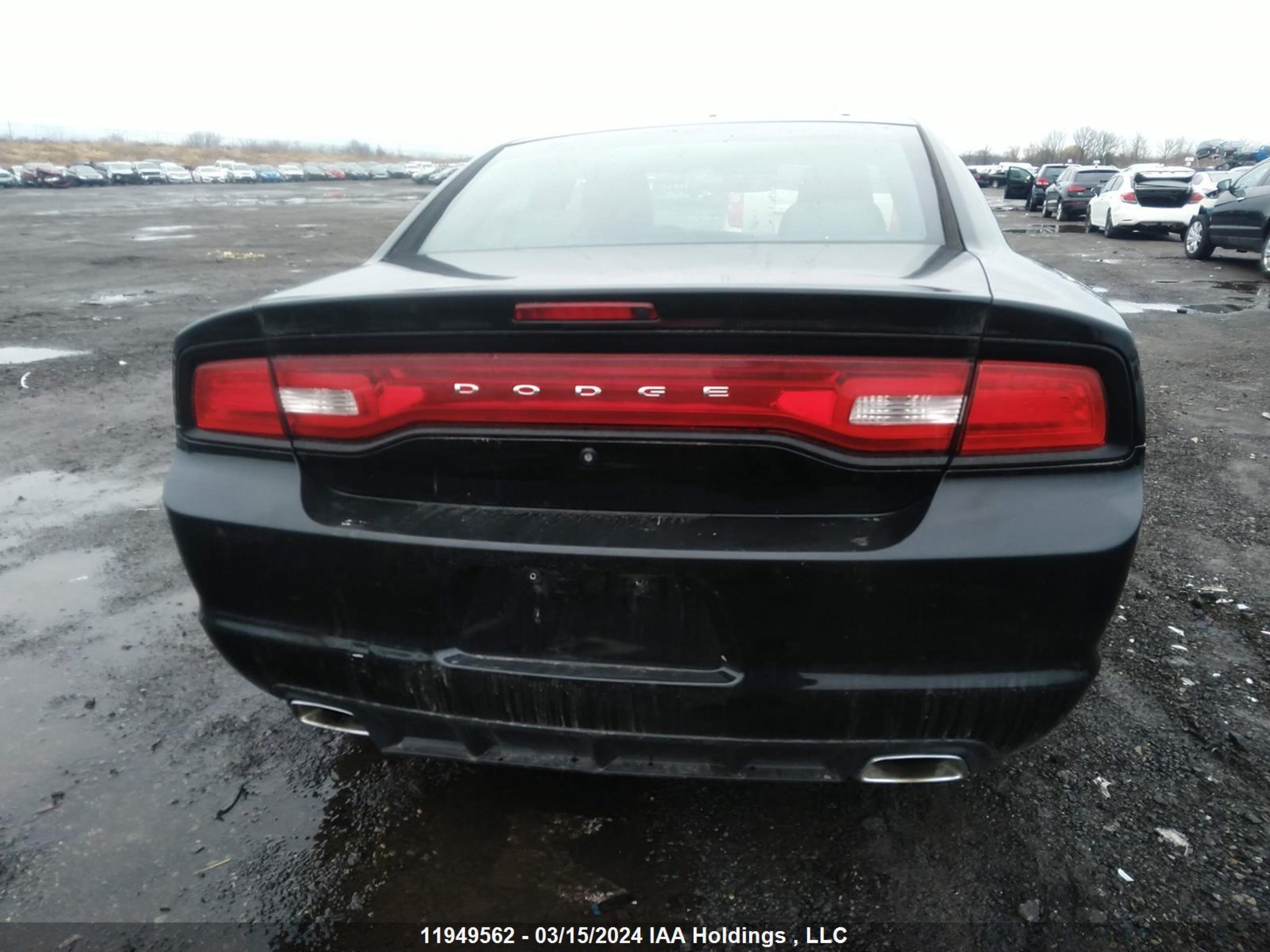 Photo 14 VIN: 2C3CDXAG7CH265413 - DODGE CHARGER 