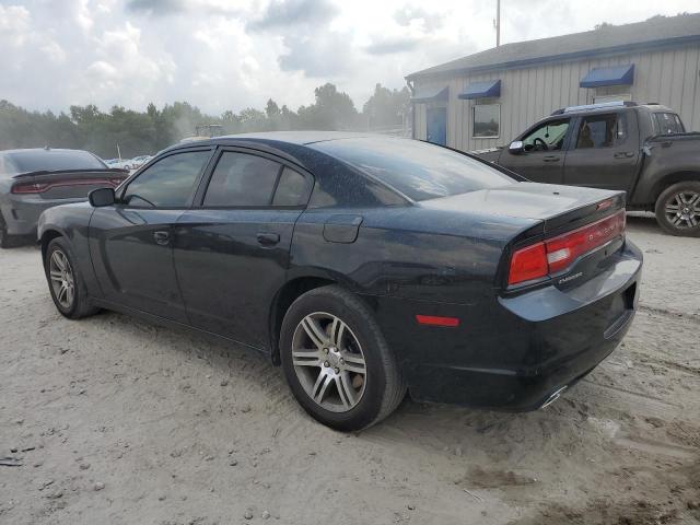 Photo 1 VIN: 2C3CDXAG9DH715922 - DODGE CHARGER 