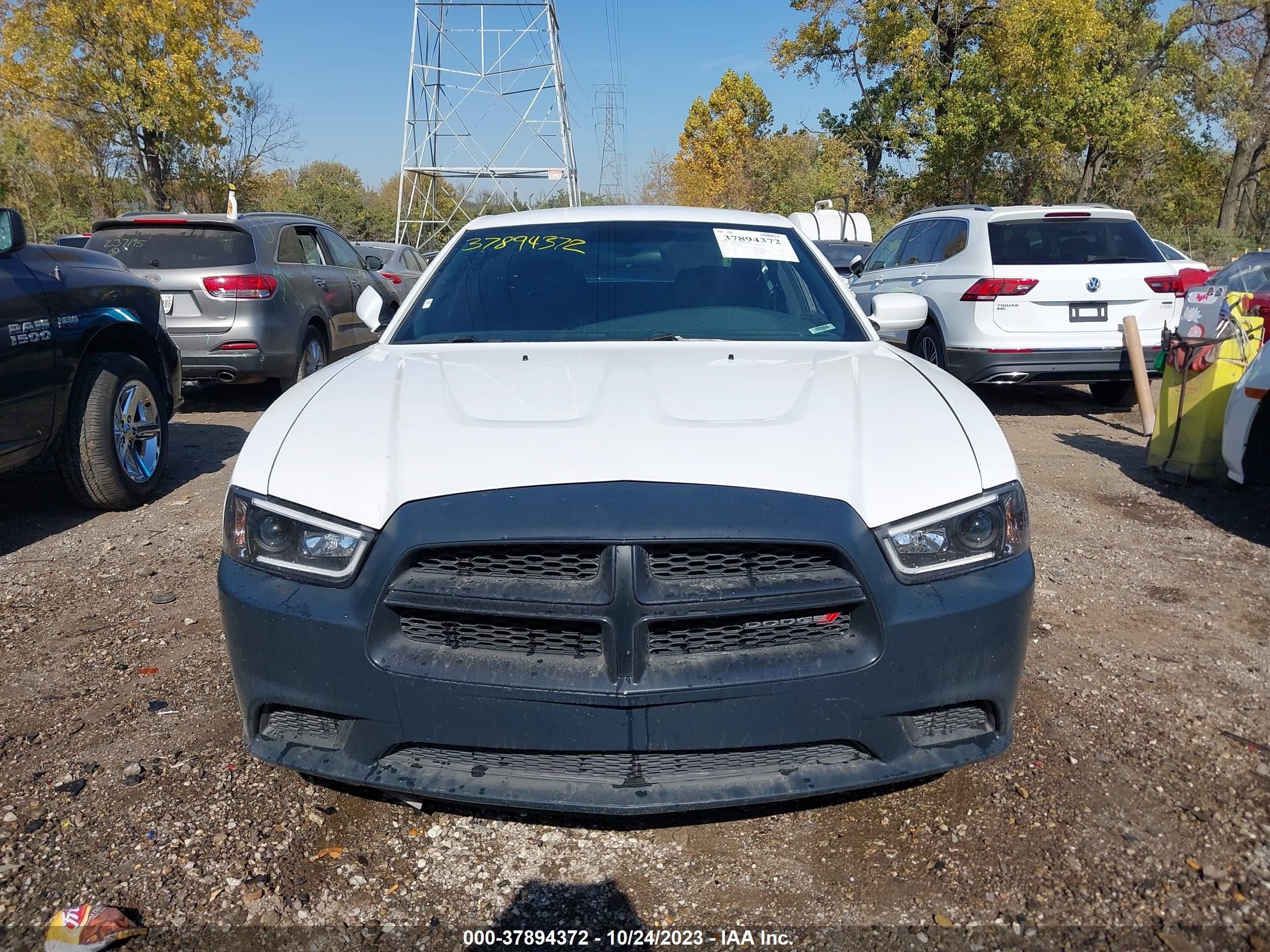 Photo 12 VIN: 2C3CDXAT3DH523537 - DODGE CHARGER 