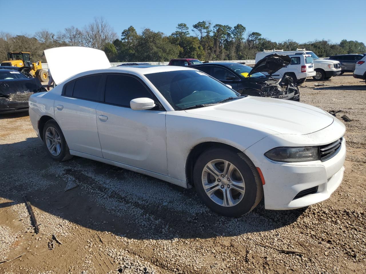 Photo 3 VIN: 2C3CDXBG2LH207305 - DODGE CHARGER 