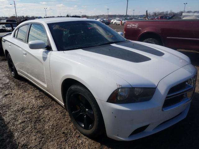 Photo 0 VIN: 2C3CDXBG4CH177868 - DODGE CHARGER SE 