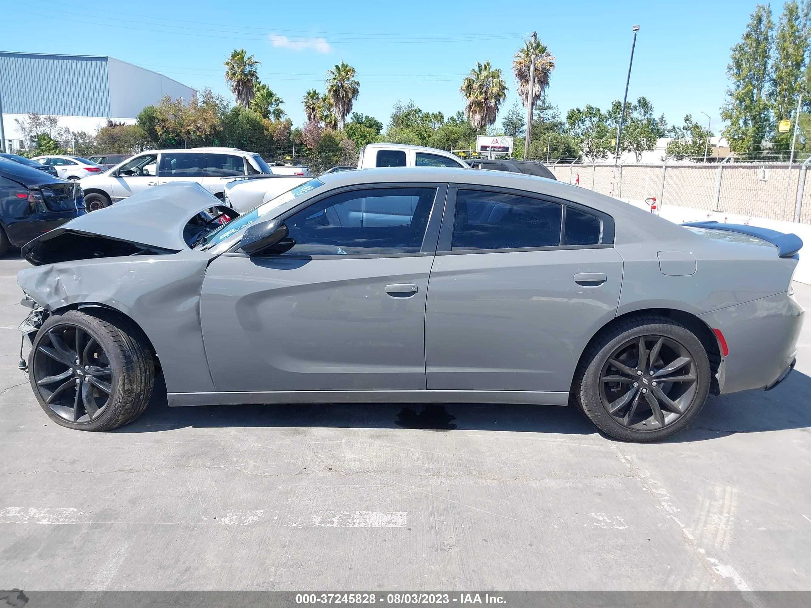 Photo 13 VIN: 2C3CDXBG7HH504965 - DODGE CHARGER 