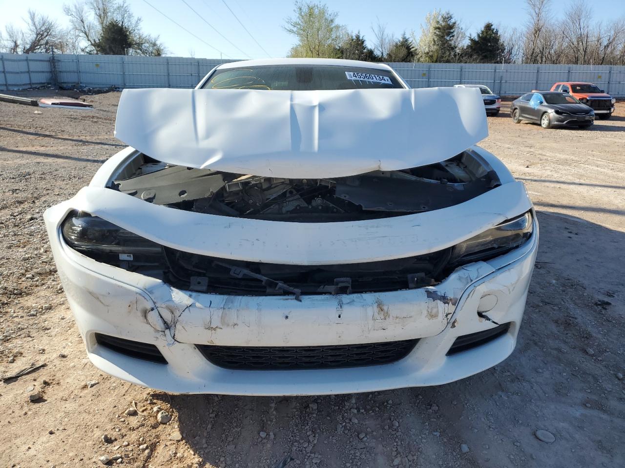 Photo 4 VIN: 2C3CDXBG7LH117132 - DODGE CHARGER 