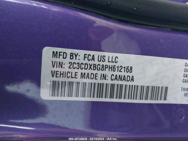 Photo 8 VIN: 2C3CDXBG8PH612168 - DODGE CHARGER 