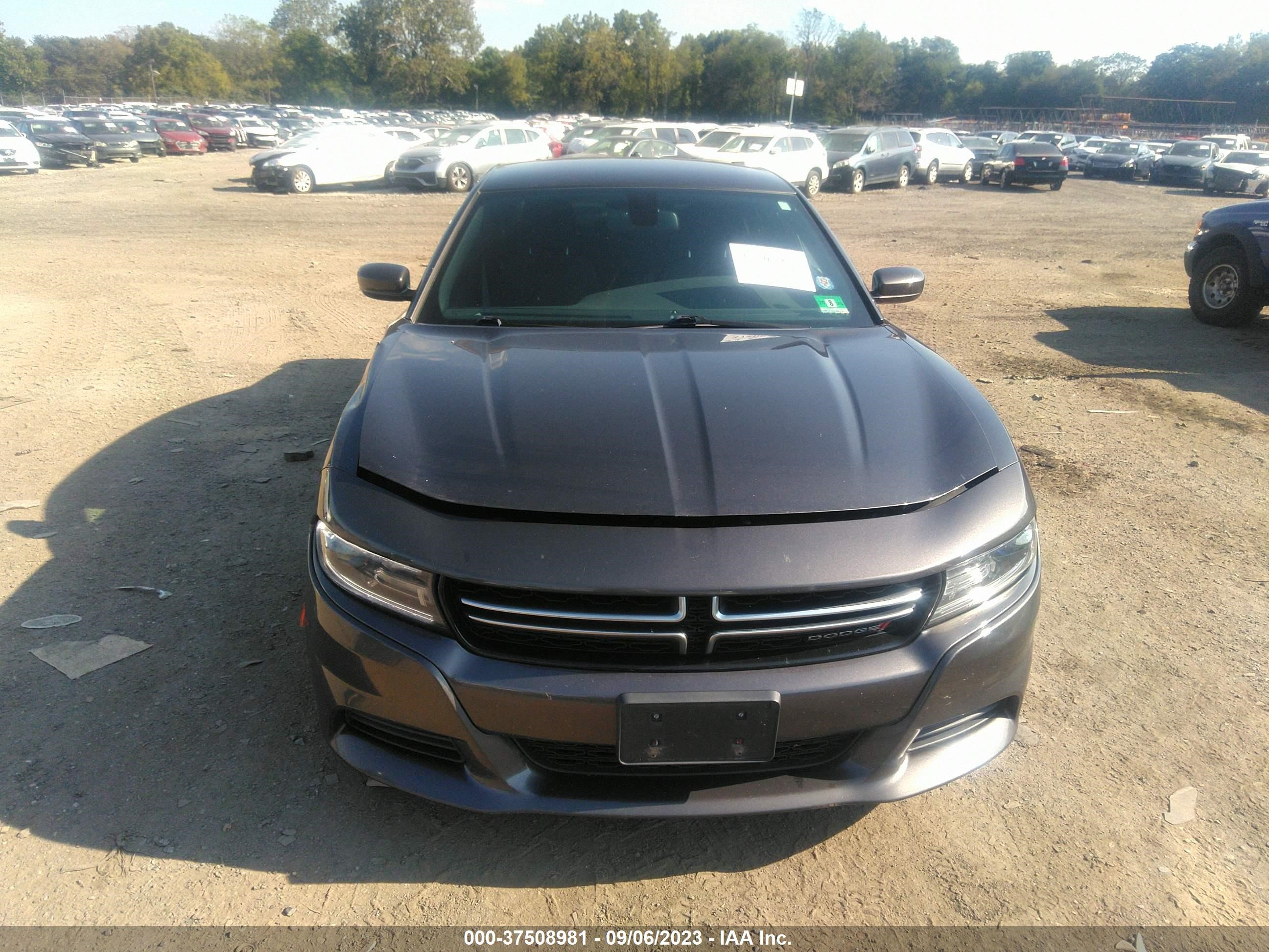 Photo 11 VIN: 2C3CDXBG9GH139901 - DODGE CHARGER 