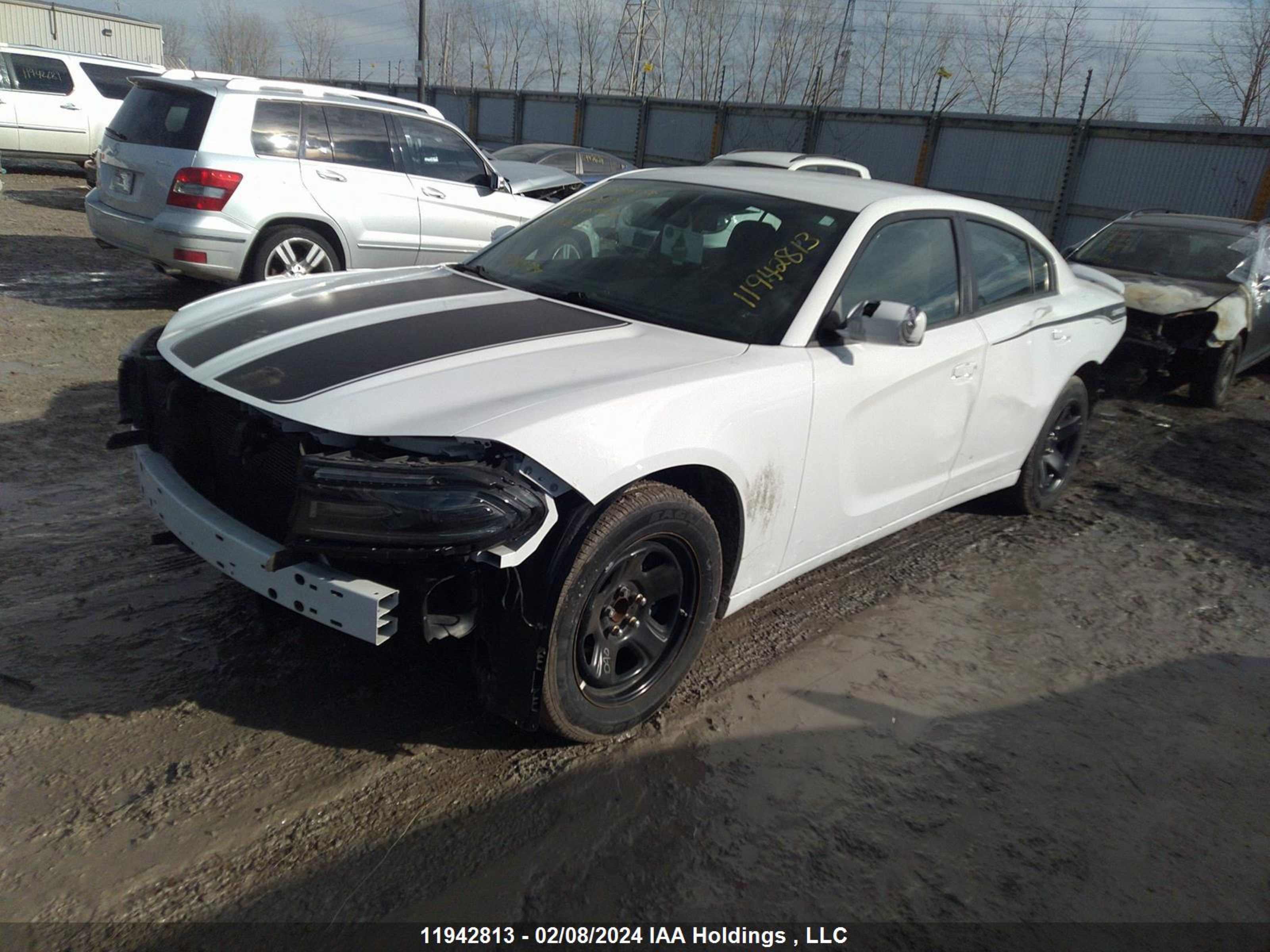 Photo 1 VIN: 2C3CDXCT1LH212975 - DODGE CHARGER 