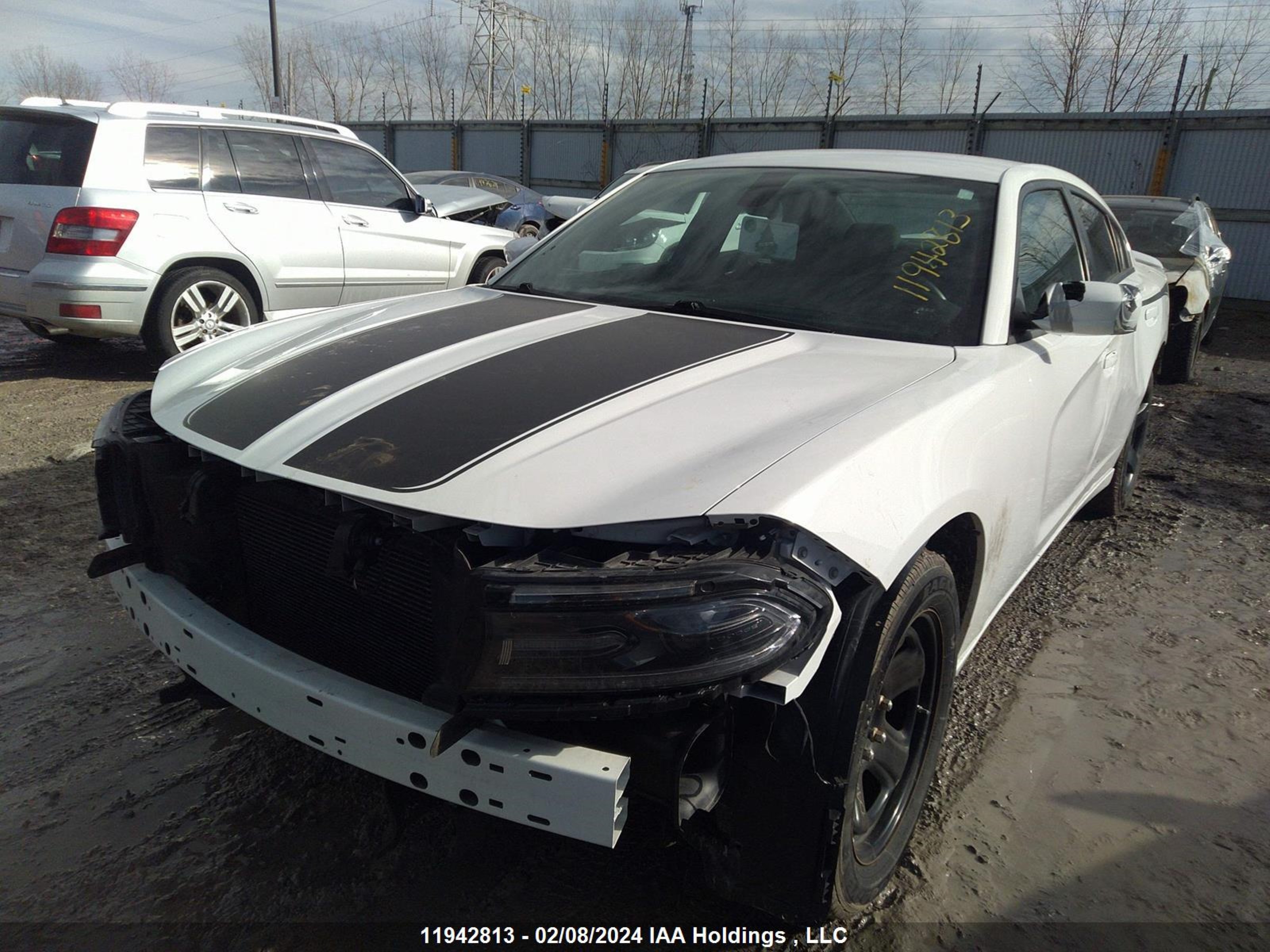 Photo 5 VIN: 2C3CDXCT1LH212975 - DODGE CHARGER 