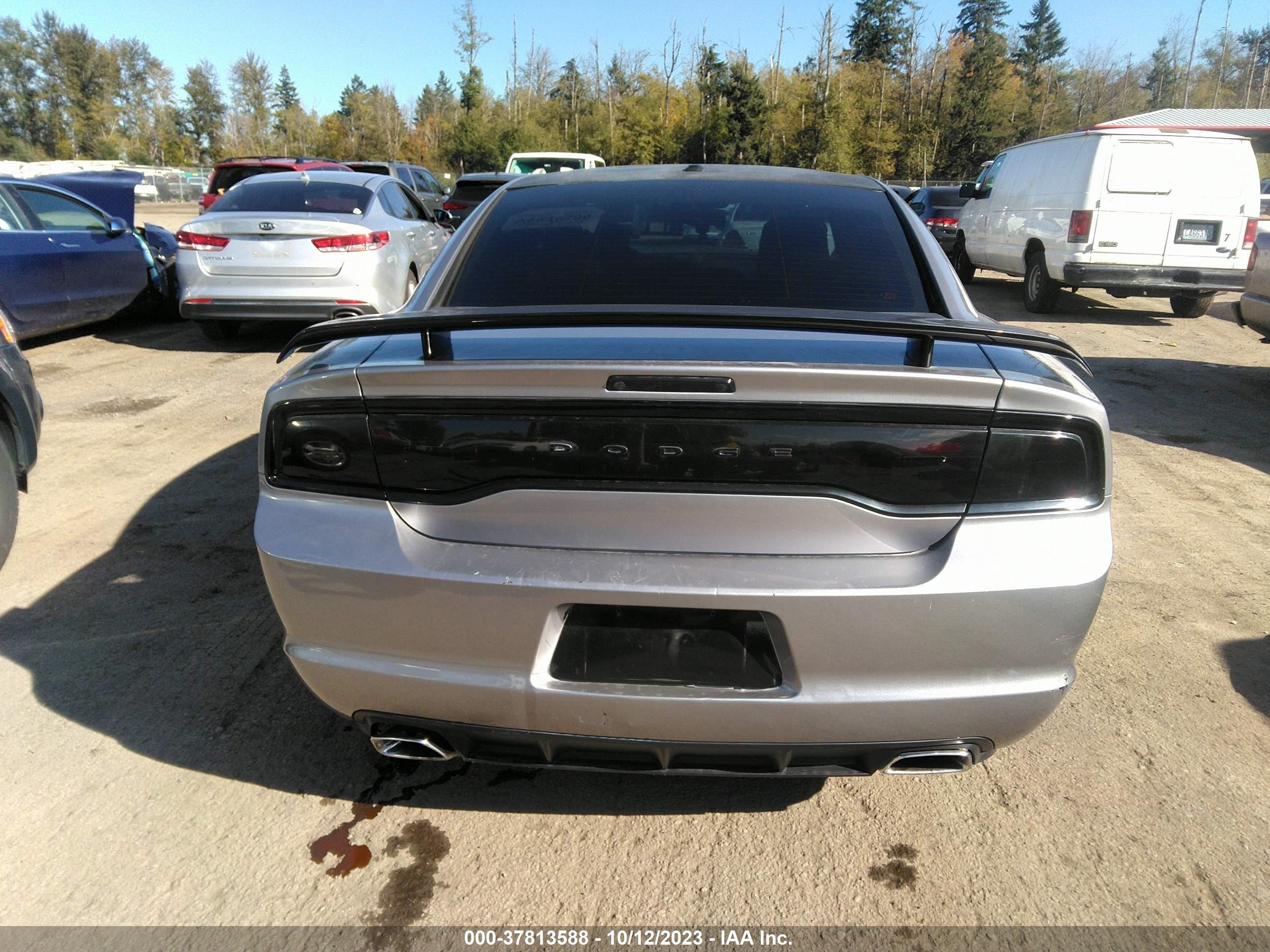 Photo 16 VIN: 2C3CDXCT8DH679960 - DODGE CHARGER 