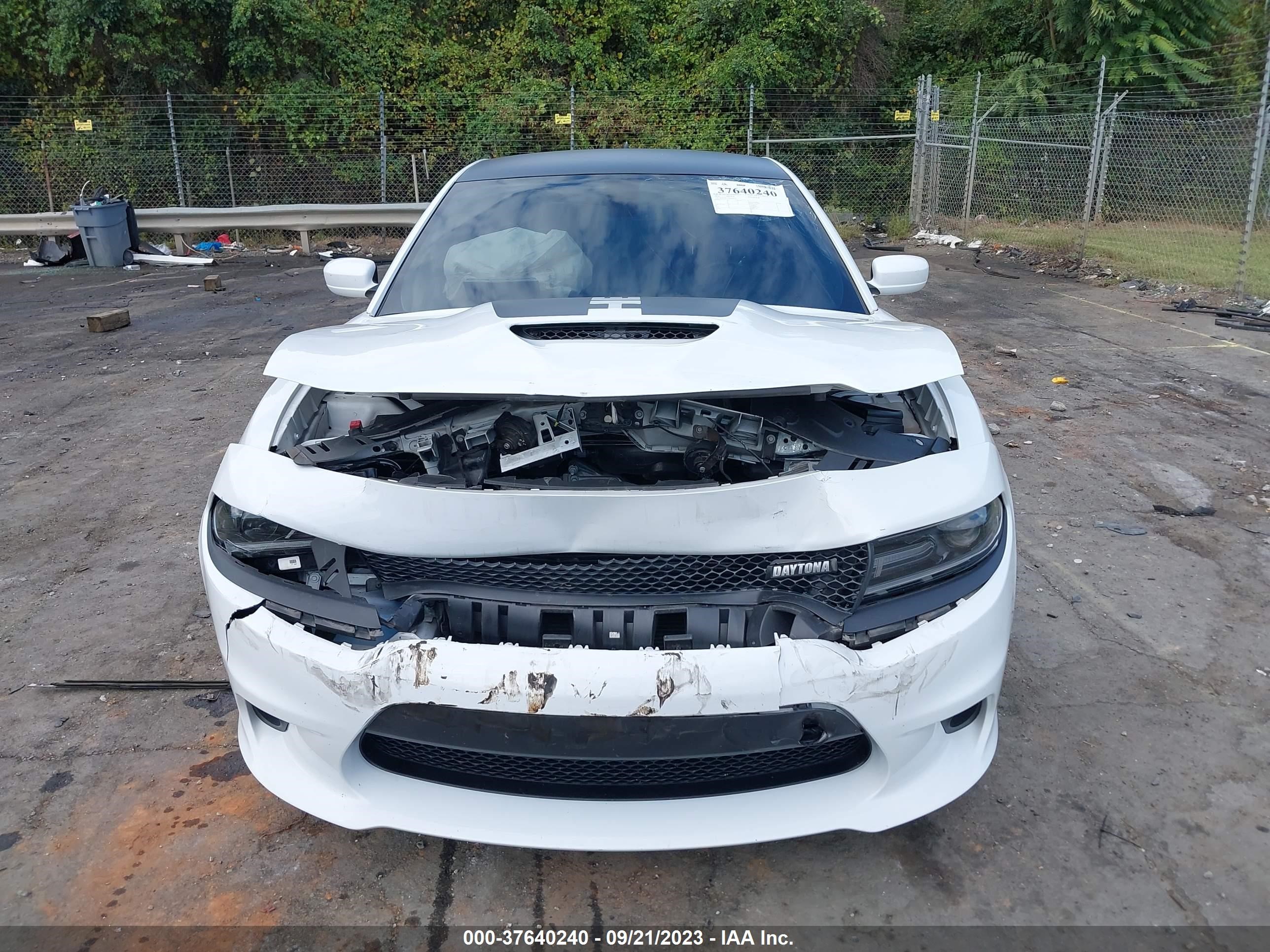 Photo 11 VIN: 2C3CDXCT9LH204767 - DODGE CHARGER 