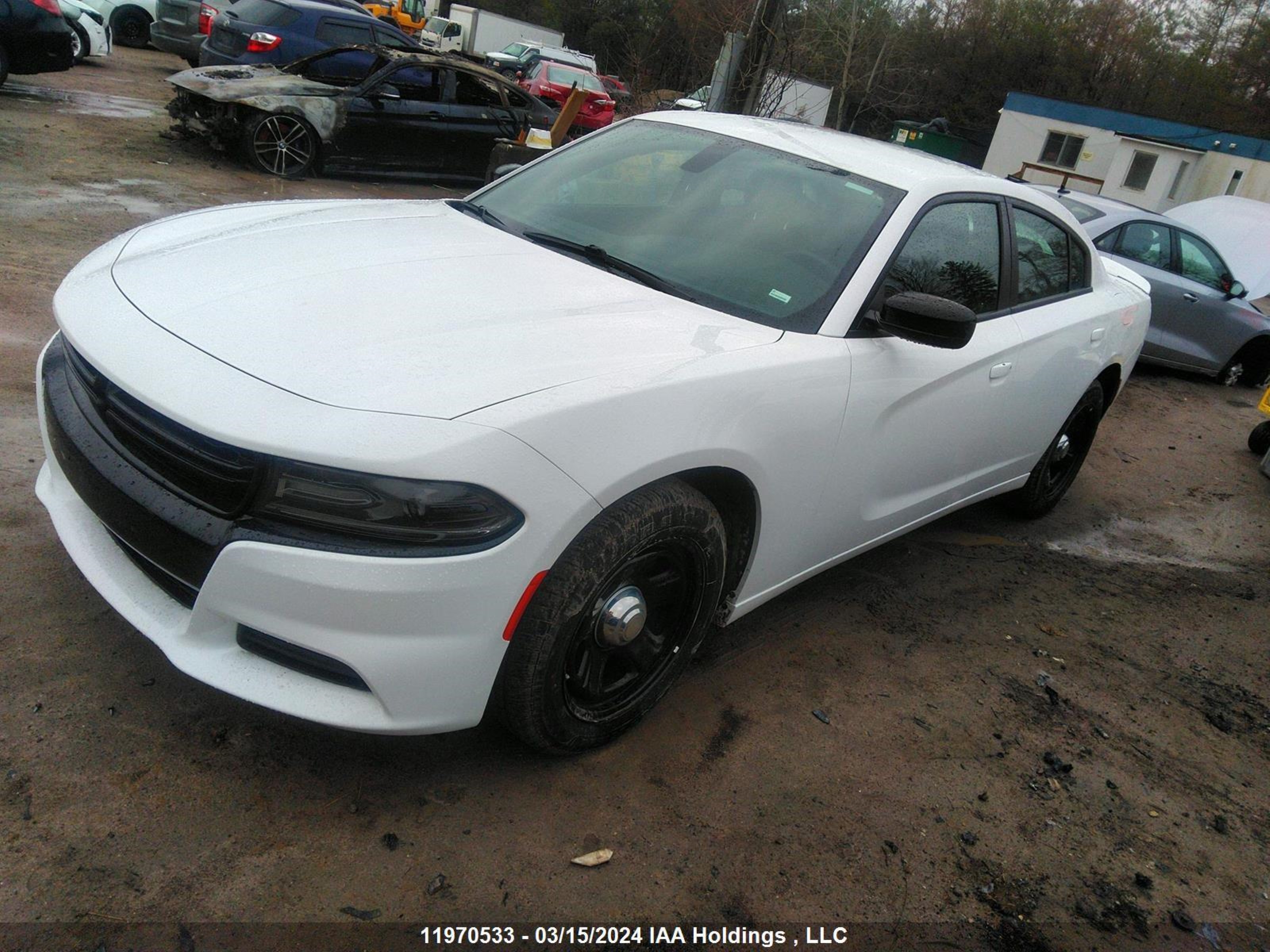 Photo 1 VIN: 2C3CDXCTXLH215695 - DODGE CHARGER 