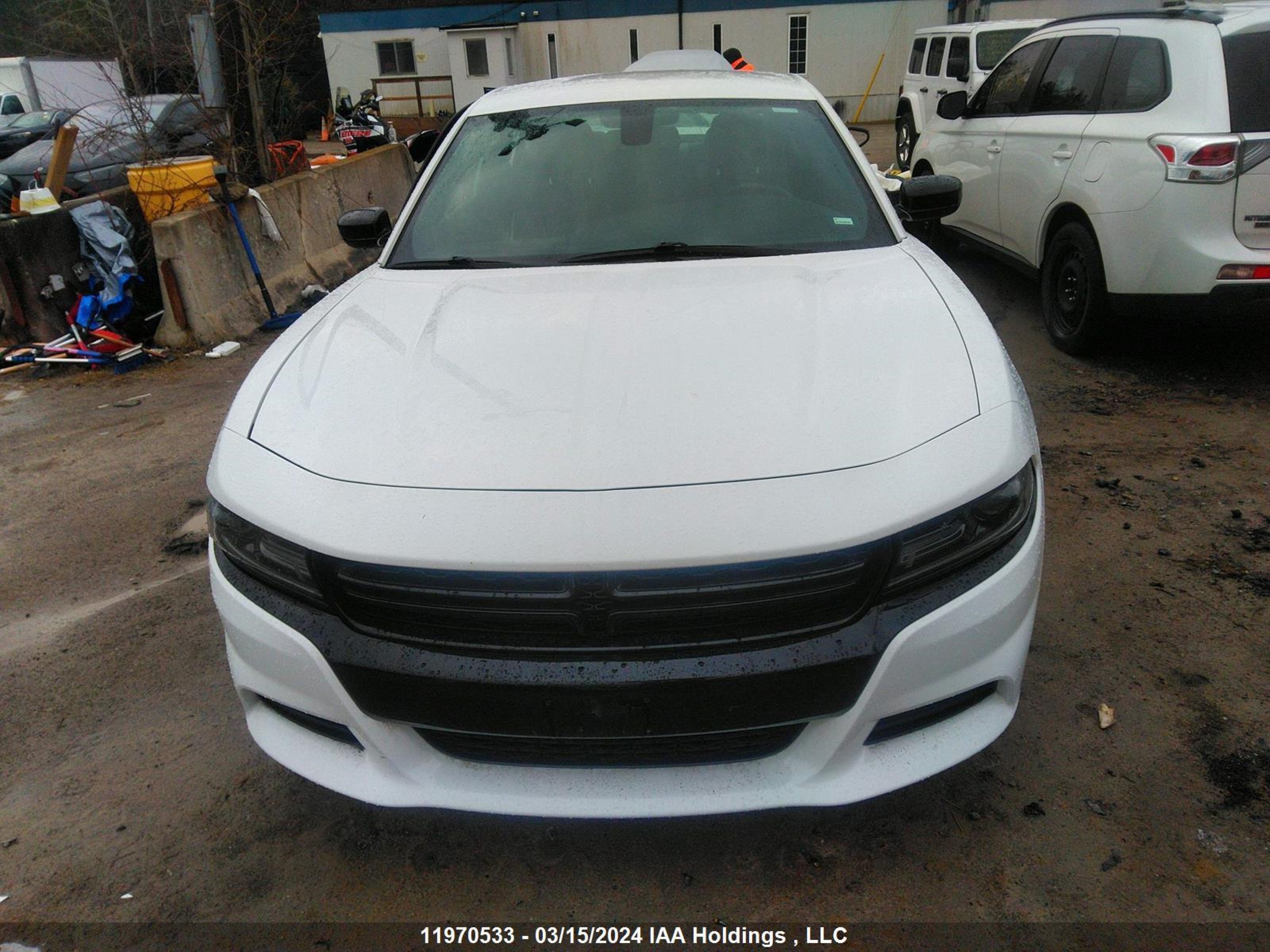 Photo 11 VIN: 2C3CDXCTXLH215695 - DODGE CHARGER 