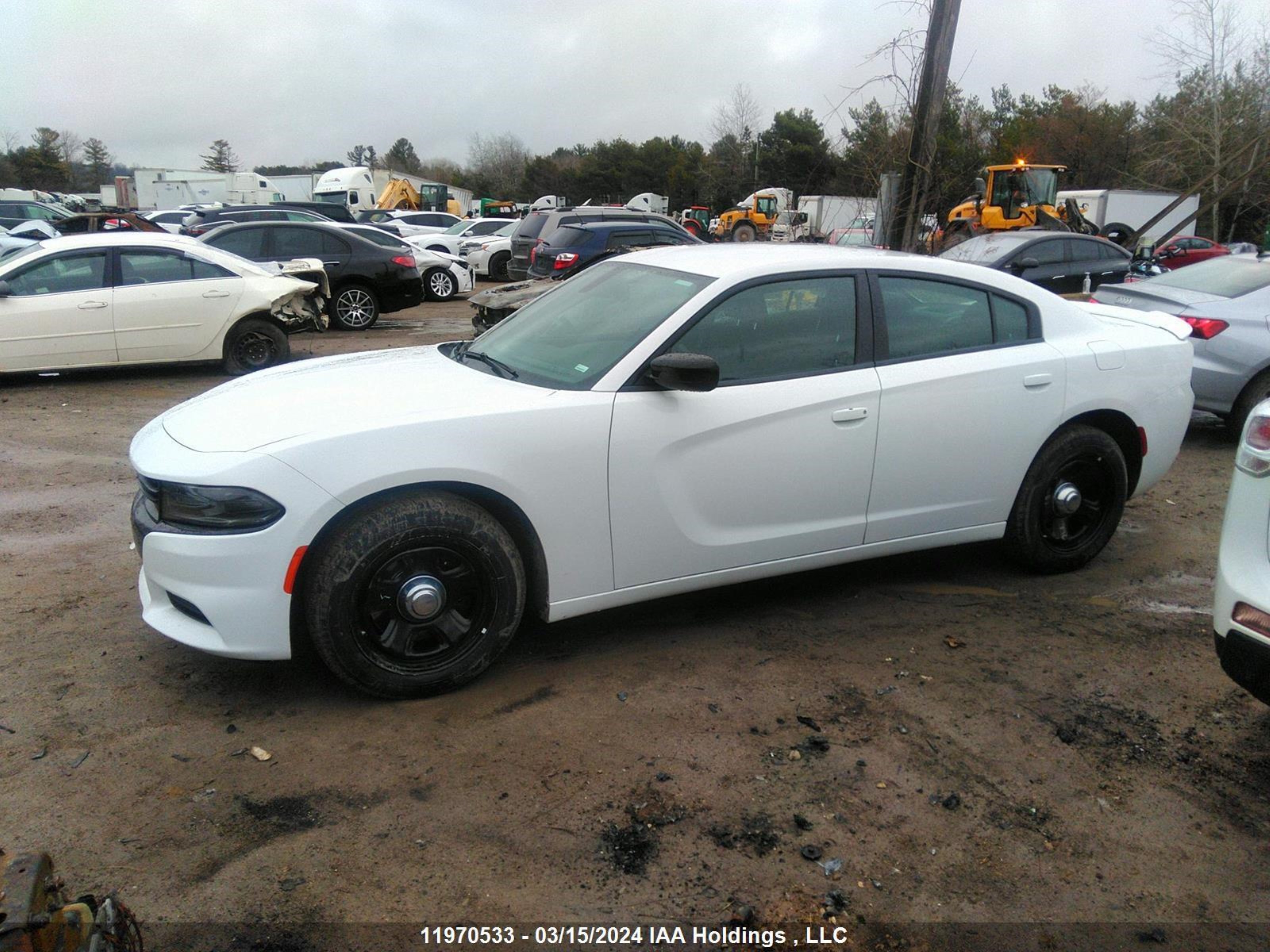 Photo 13 VIN: 2C3CDXCTXLH215695 - DODGE CHARGER 