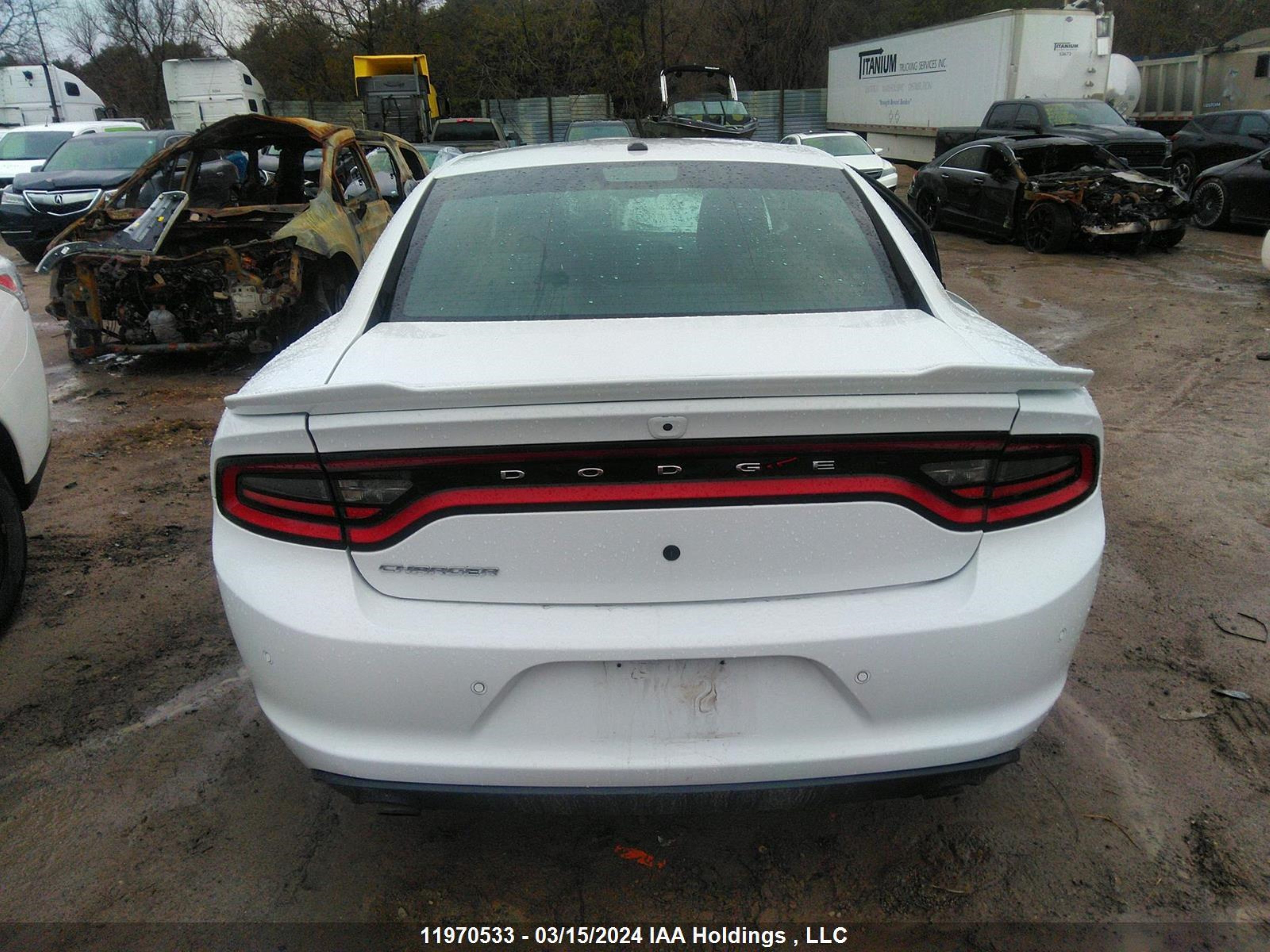 Photo 15 VIN: 2C3CDXCTXLH215695 - DODGE CHARGER 