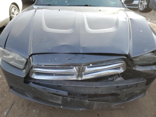 Photo 10 VIN: 2C3CDXDT7DH709349 - DODGE CHARGER 