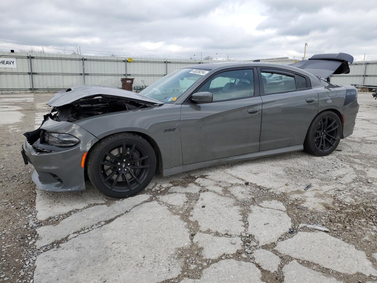 Photo 0 VIN: 2C3CDXGJ1JH152119 - DODGE CHARGER 