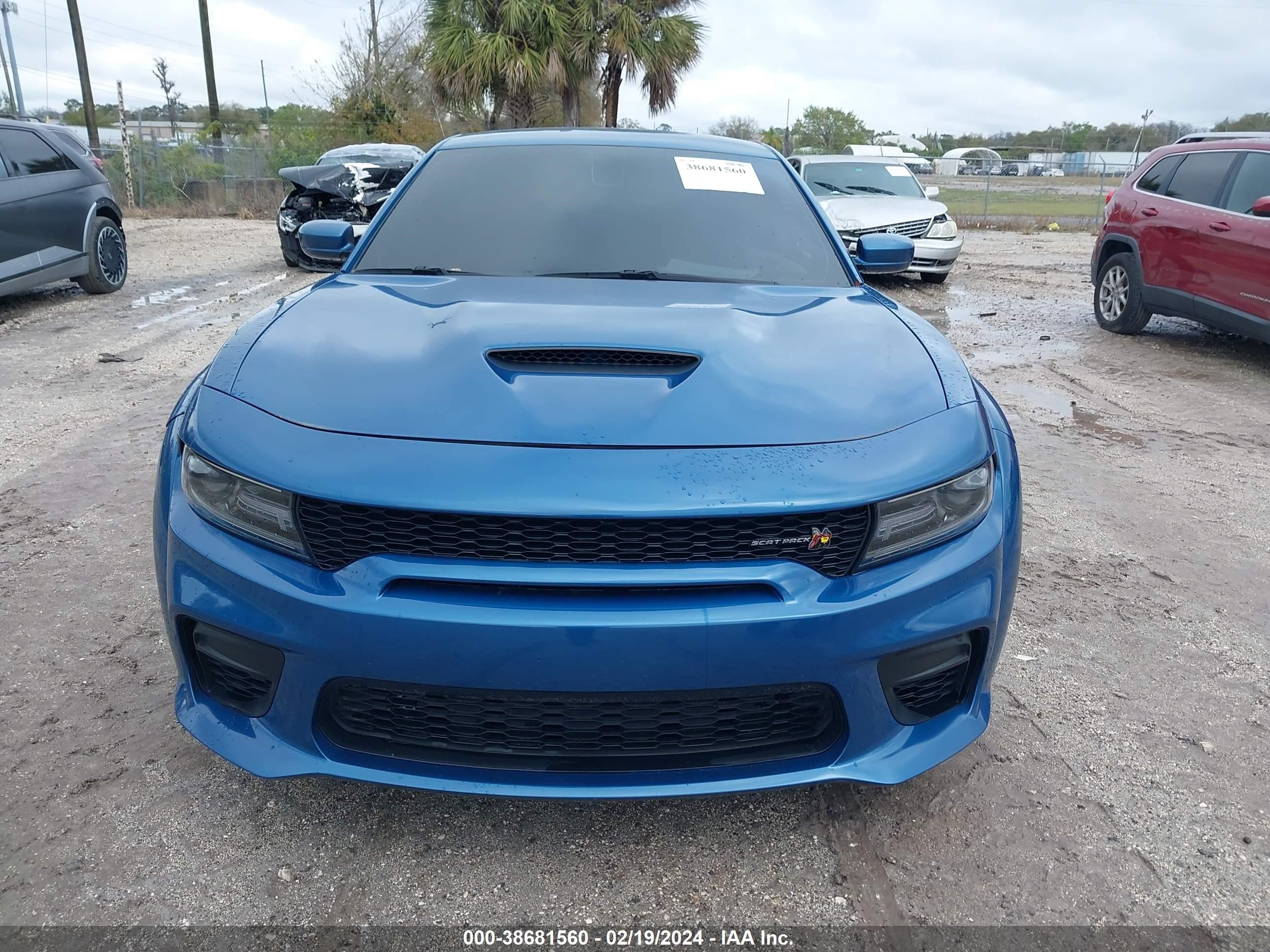 Photo 11 VIN: 2C3CDXGJ1MH601478 - DODGE CHARGER 