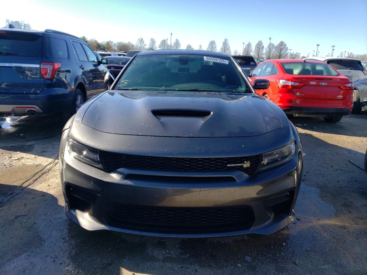 Photo 4 VIN: 2C3CDXGJ6LH209501 - DODGE CHARGER 