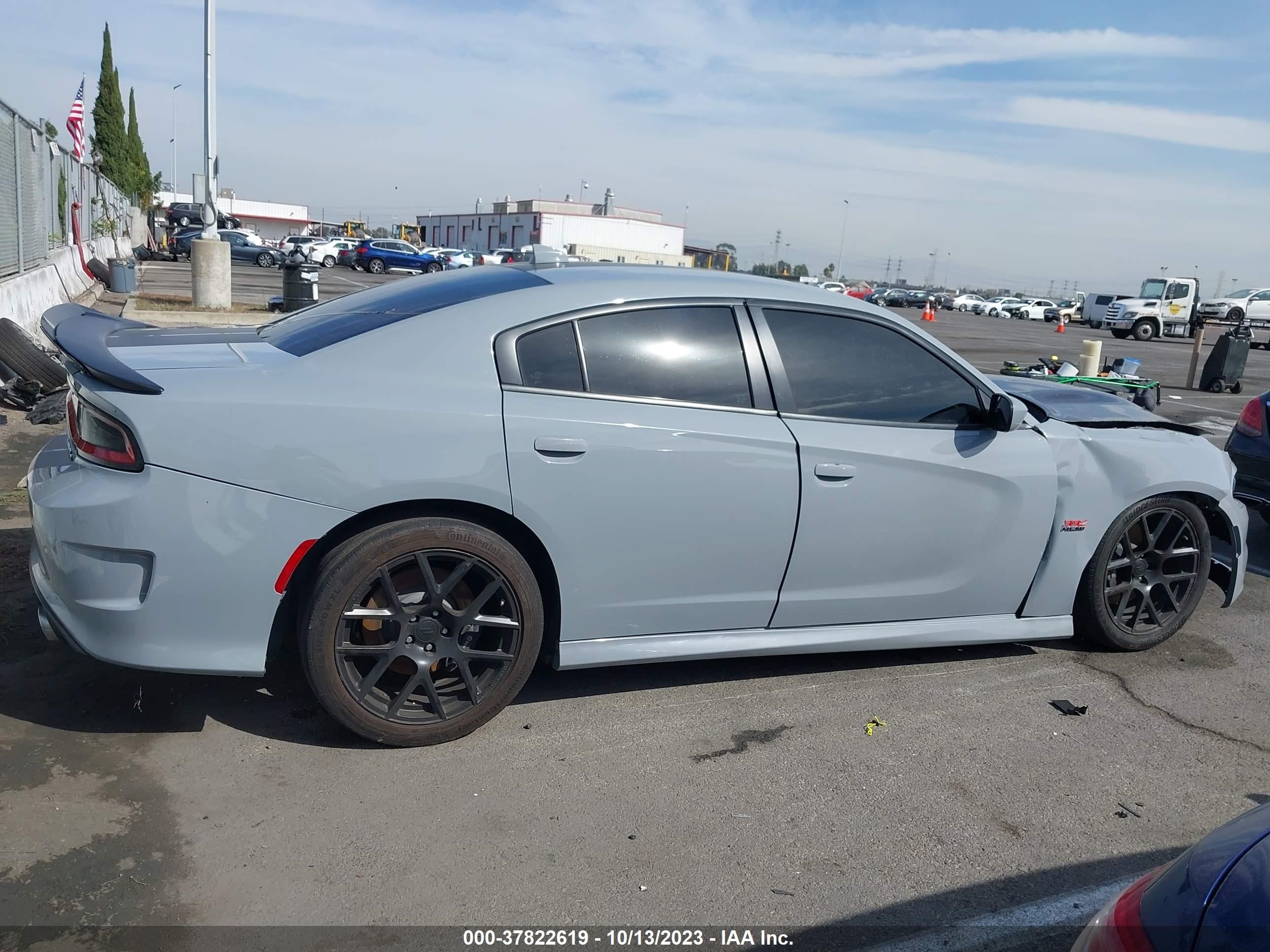 Photo 12 VIN: 2C3CDXGJ6MH645265 - DODGE CHARGER 