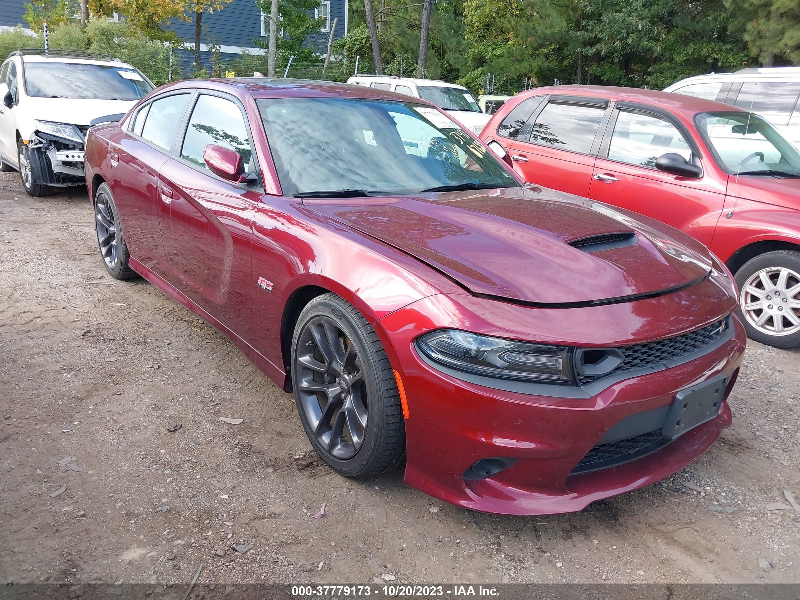 Photo 0 VIN: 2C3CDXGJ9LH148175 - DODGE CHARGER 