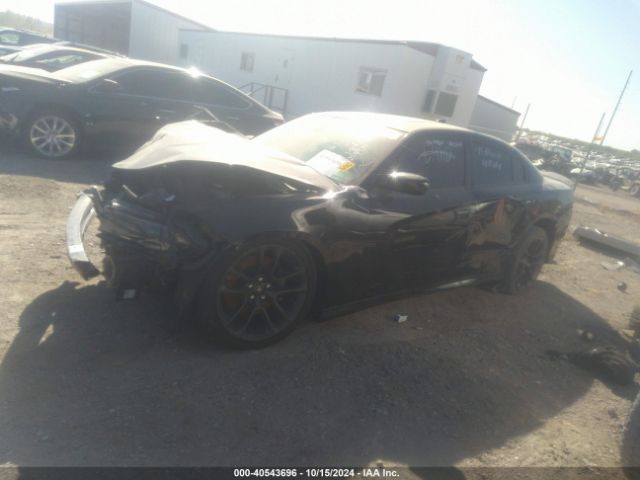 Photo 1 VIN: 2C3CDXGJ9LH254934 - DODGE CHARGER 