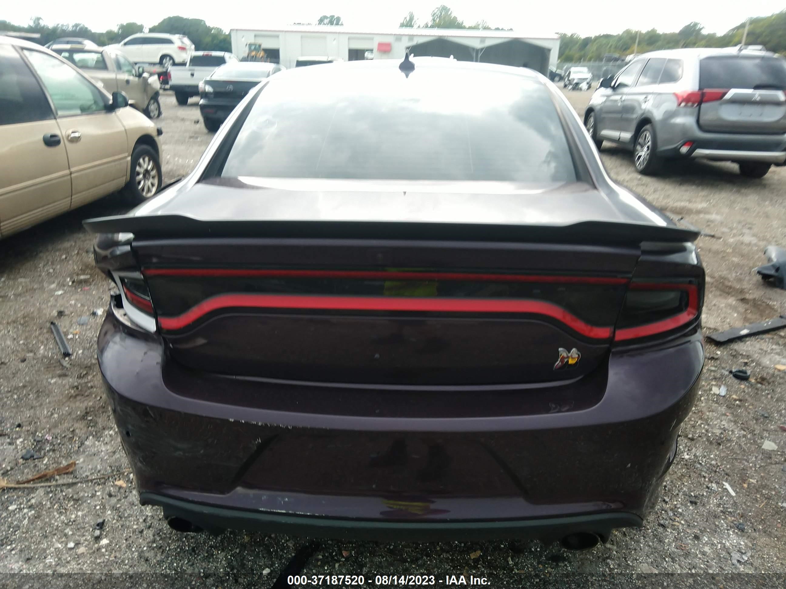 Photo 15 VIN: 2C3CDXGJ9MH578001 - DODGE CHARGER 