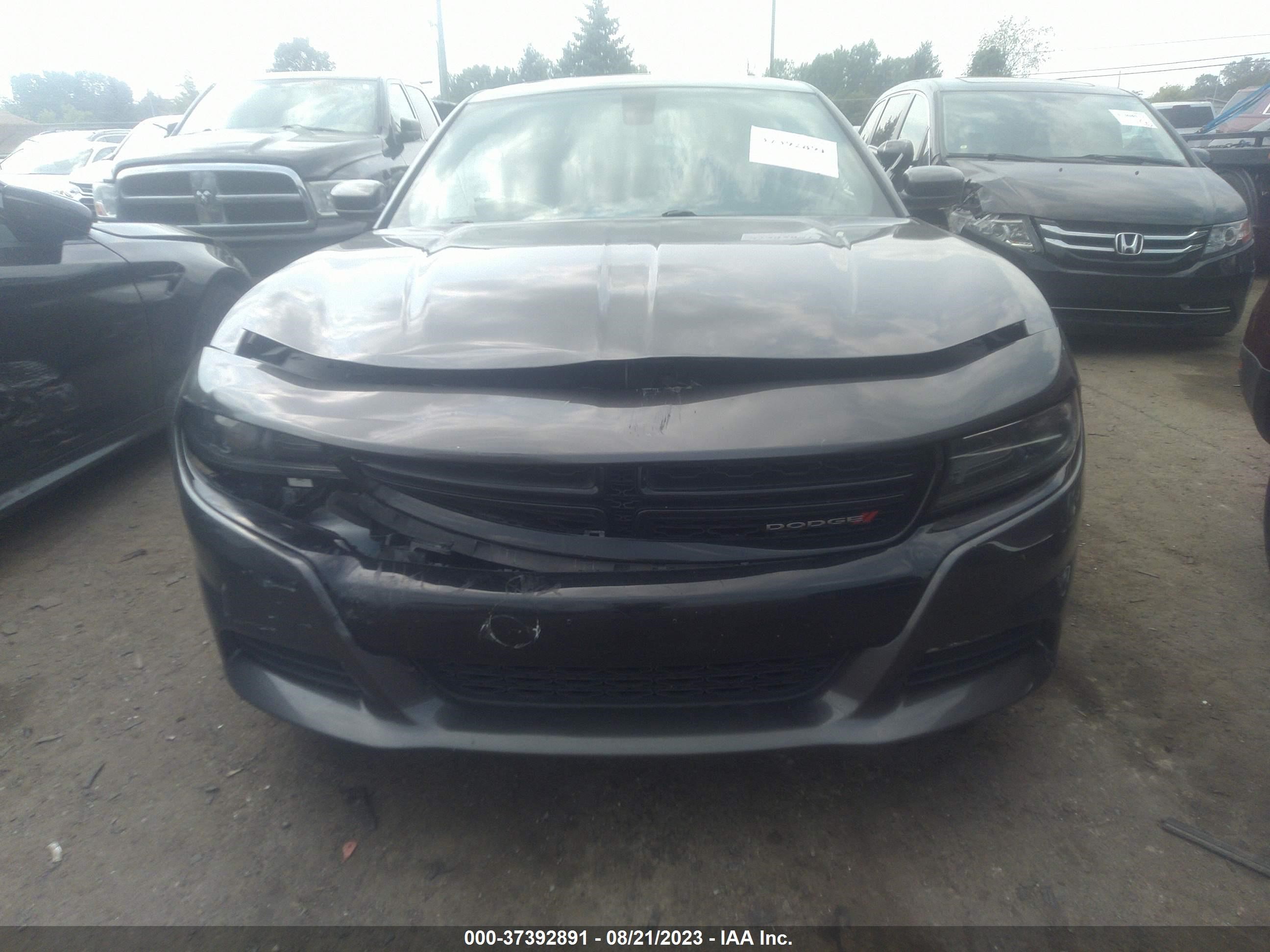 Photo 11 VIN: 2C3CDXHG0HH631256 - DODGE CHARGER 