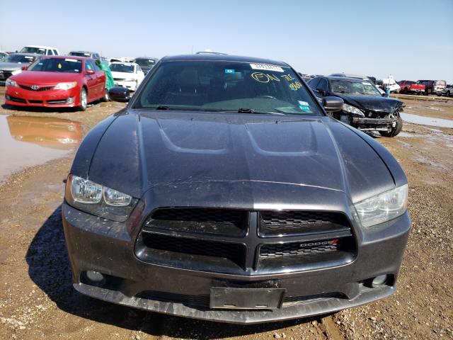 Photo 8 VIN: 2C3CDXHG1EH104905 - DODGE CHARGER SX 