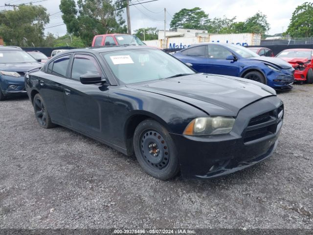 Photo 0 VIN: 2C3CDXHG2DH601878 - DODGE CHARGER 