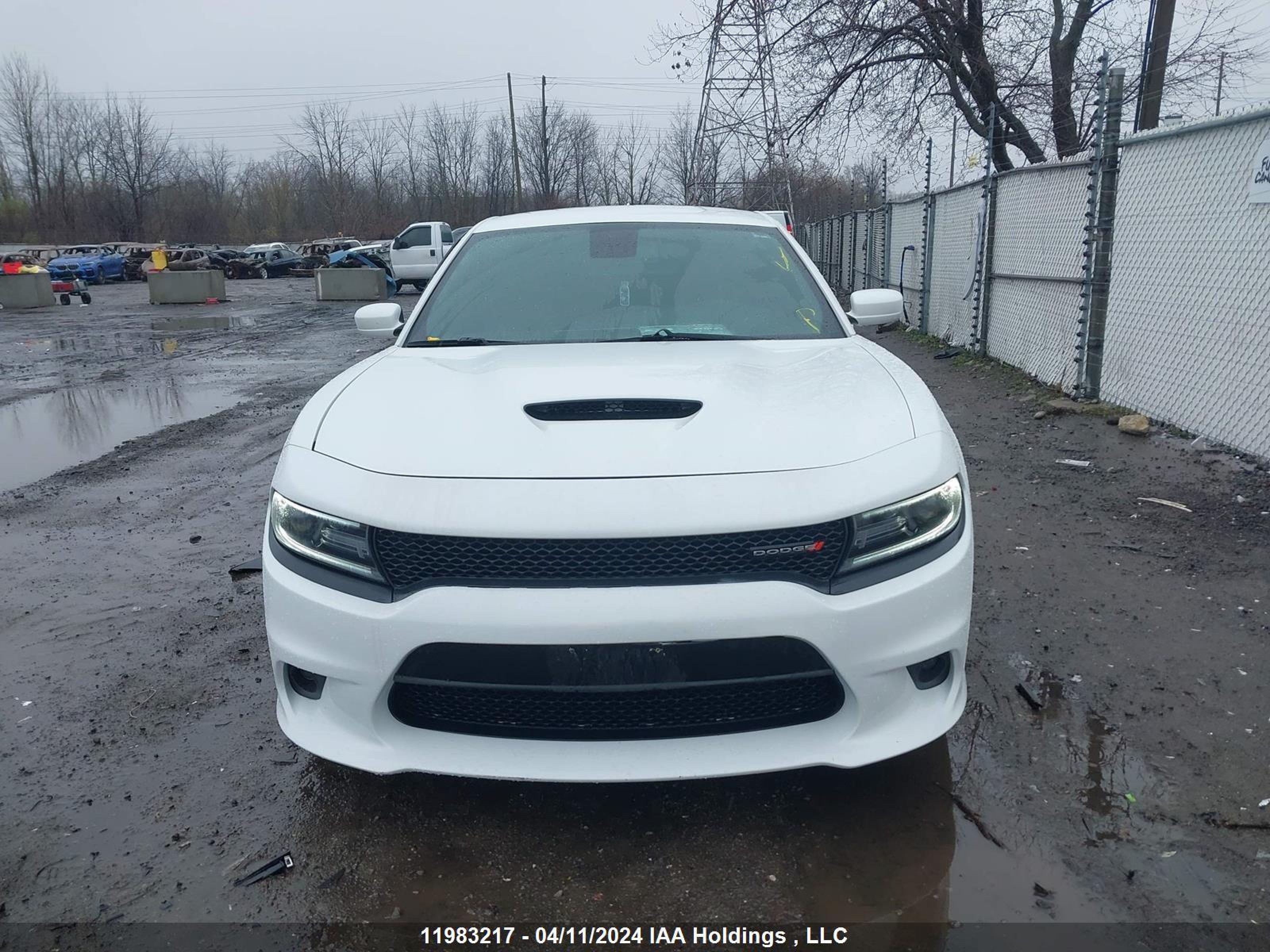 Photo 11 VIN: 2C3CDXHG9MH525012 - DODGE CHARGER 