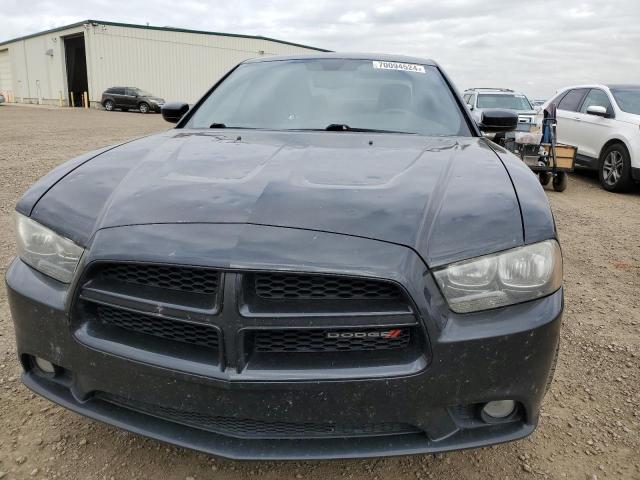 Photo 4 VIN: 2C3CDXJG0EH259603 - DODGE CHARGER SX 