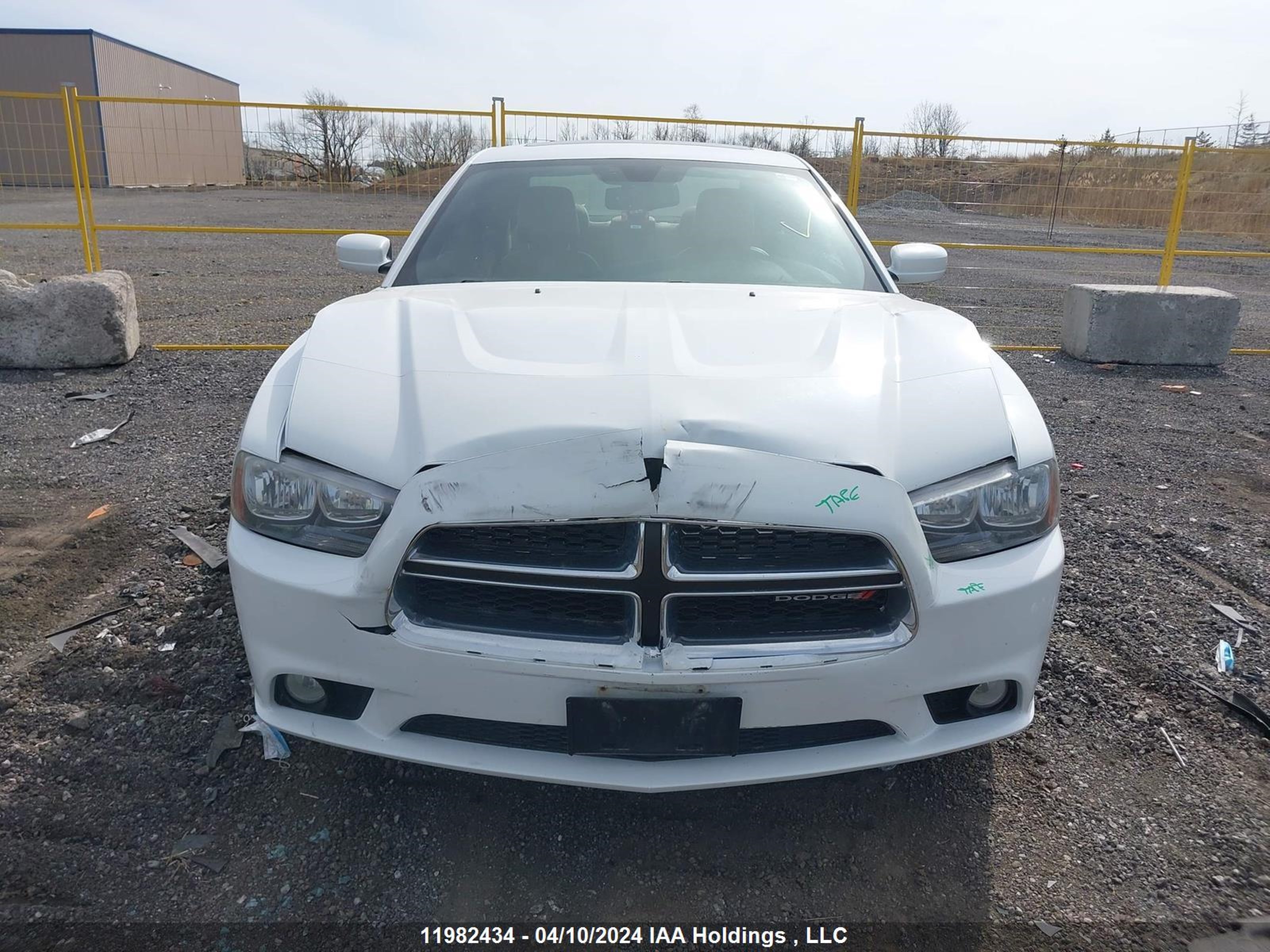 Photo 12 VIN: 2C3CDXJG1DH599678 - DODGE CHARGER 