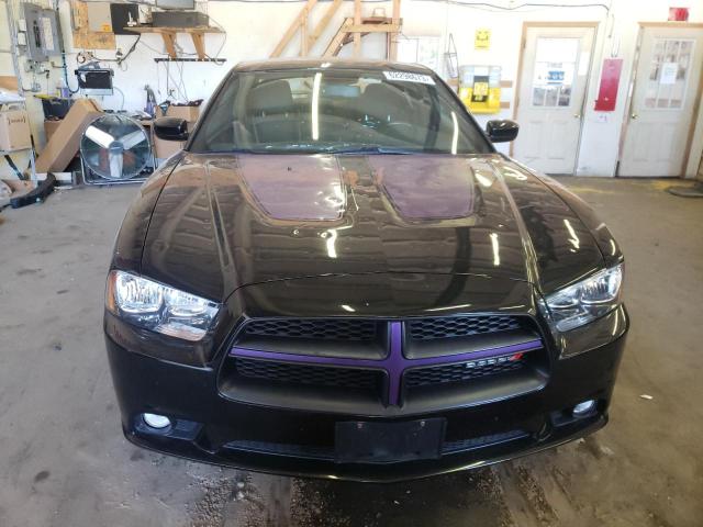 Photo 4 VIN: 2C3CDXJG2EH372002 - DODGE CHARGER SX 