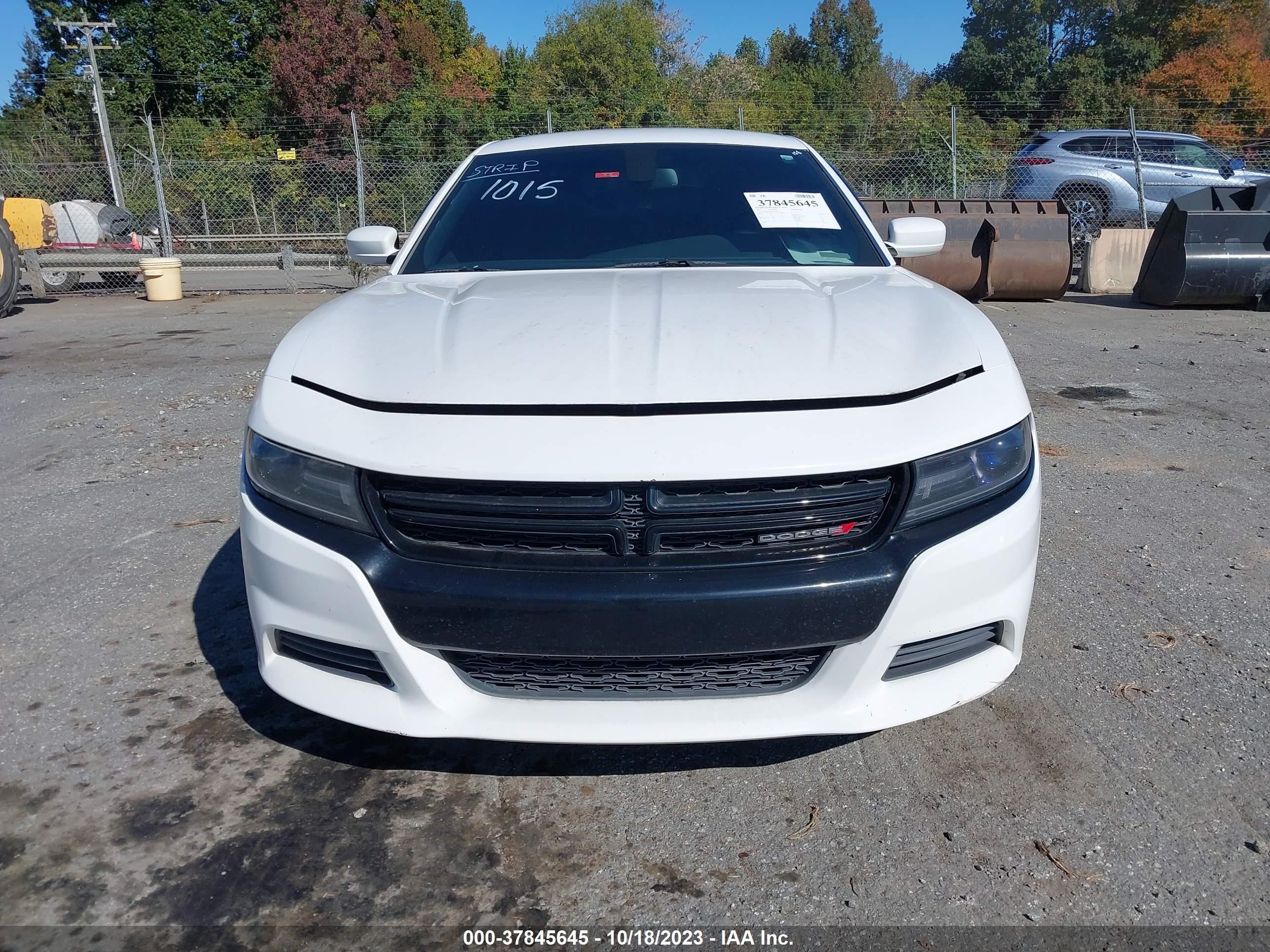 Photo 11 VIN: 2C3CDXKT7HH531015 - DODGE CHARGER 