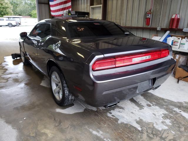 Photo 2 VIN: 2C3CDYAG0DH607338 - DODGE CHALLENGER 