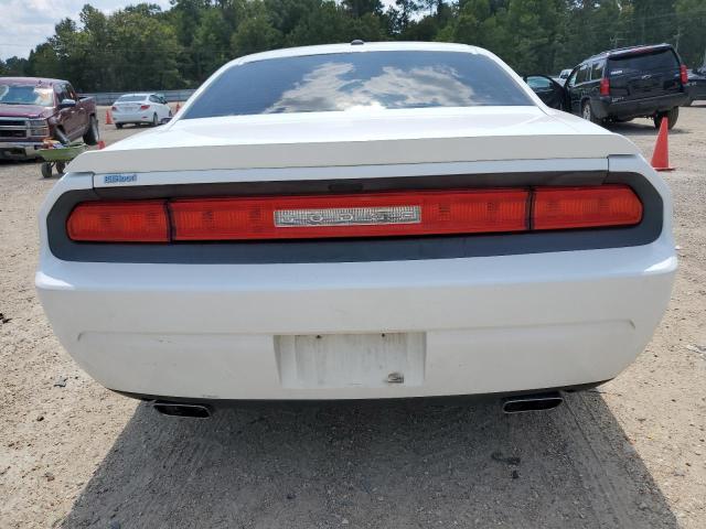 Photo 5 VIN: 2C3CDYAG0EH298584 - DODGE CHALLENGER 