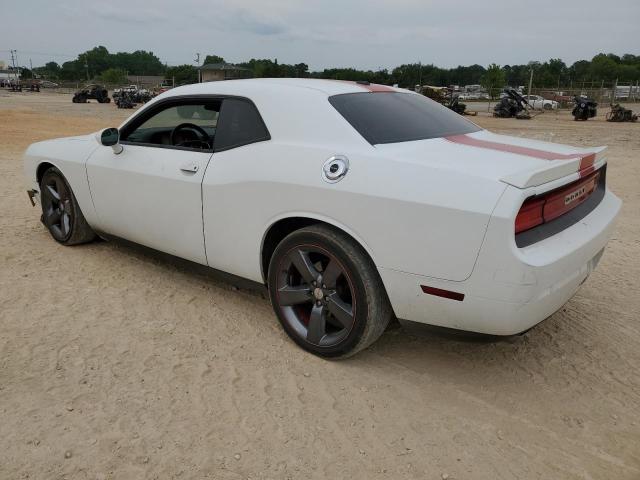 Photo 1 VIN: 2C3CDYAG1DH536084 - DODGE CHALLENGER 