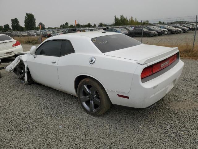 Photo 1 VIN: 2C3CDYAG1DH695249 - DODGE CHALLENGER 