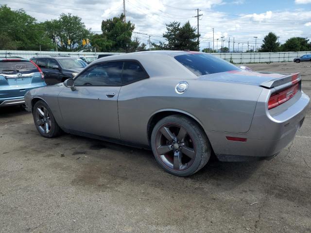 Photo 1 VIN: 2C3CDYAG1DH728749 - DODGE CHALLENGER 