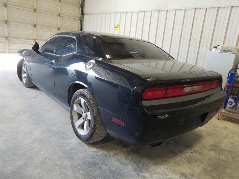 Photo 2 VIN: 2C3CDYAG1EH244890 - DODGE CHALLENGER 